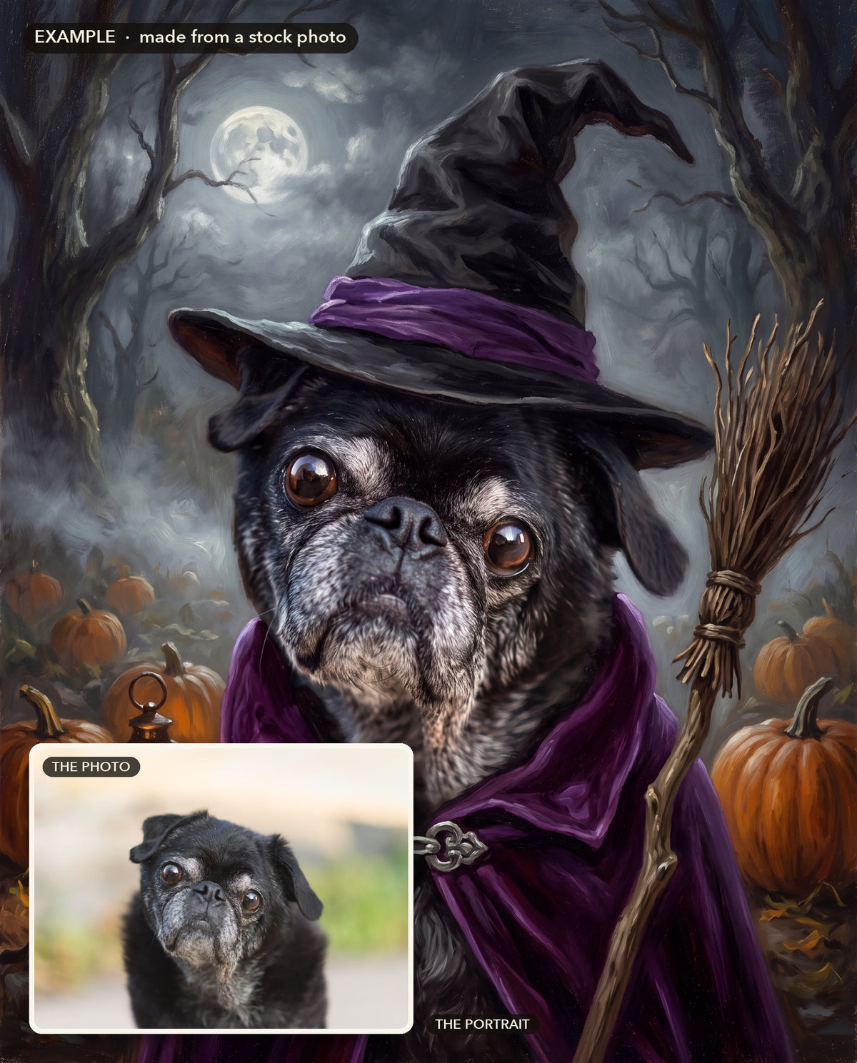 Example: before and after, made from a stock photo of a black pug (inset) and its Witch style portrait