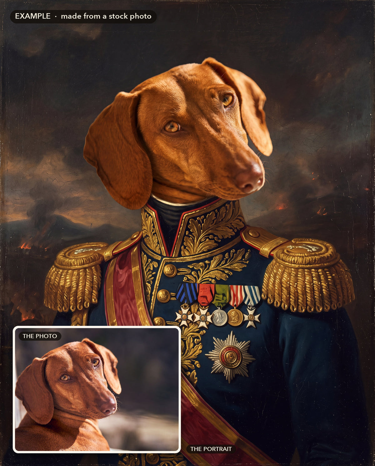 Example: before and after, made from a stock photo of a dachshund (inset) and its The General style portrait